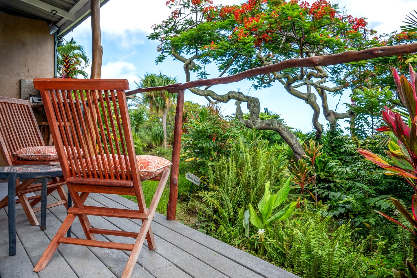 Nature Accommodation on a Sustainable Farm in Kealakekua Bay, Hawaii