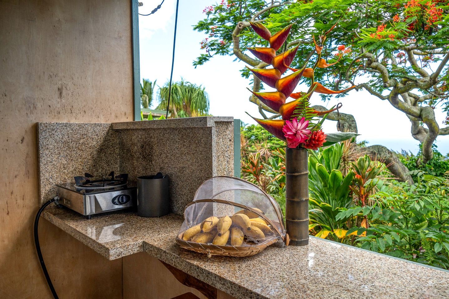 Nature Accommodation on a Sustainable Farm in Kealakekua Bay, Hawaii