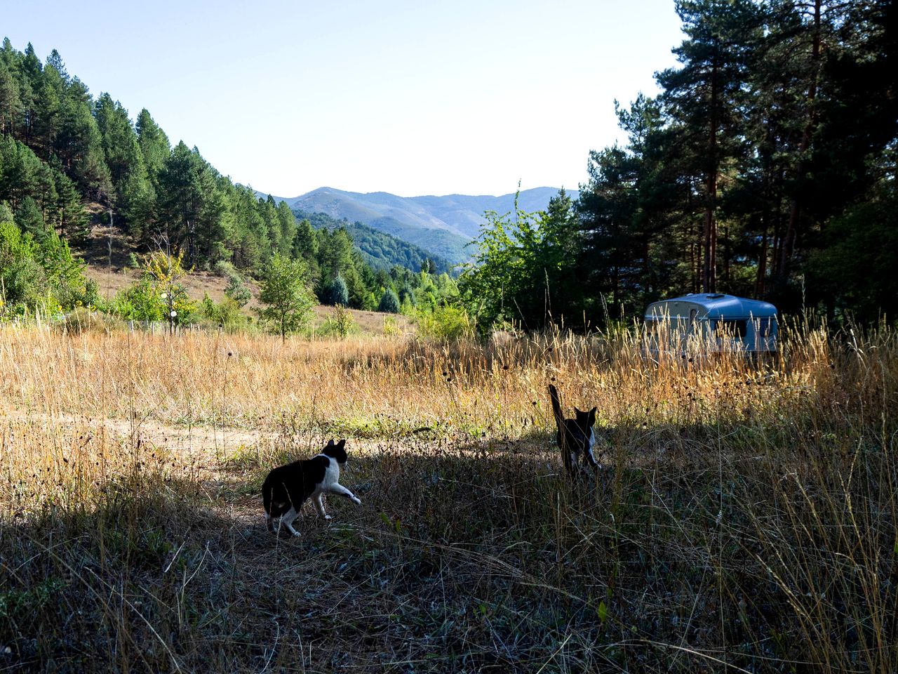 Gorgeous Gypsy Wagon Rental for a Vacation in the Picos de Europa in Spain