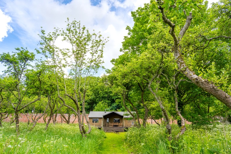 Safari Tents (United Kingdom, Exton, England)