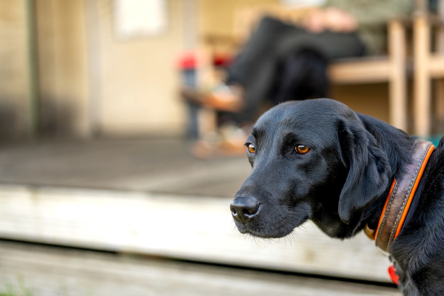 Furnished Tented Cabin for Luxury Camping in Suffolk County, England