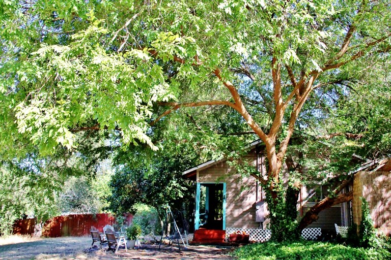 Cabins (United States of America, Geyserville, California)