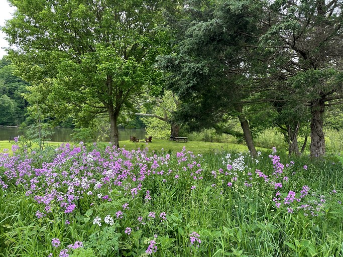 Cabins (United States of America, Rileyville, Virginia)