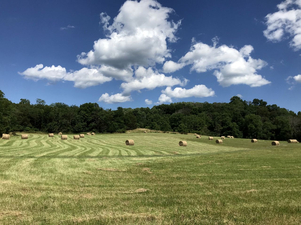 Luxurious Cabin Rental with Stunning Views and a Hot Tub in Shenandoah Valley, Virginia