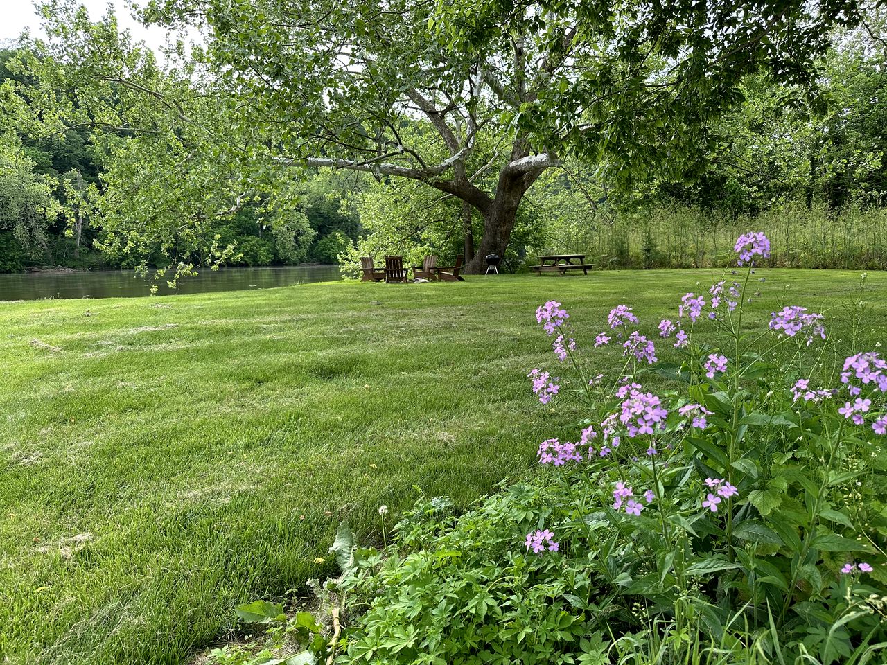 Luxurious Cabin Rental with Stunning Views and a Hot Tub in Shenandoah Valley, Virginia