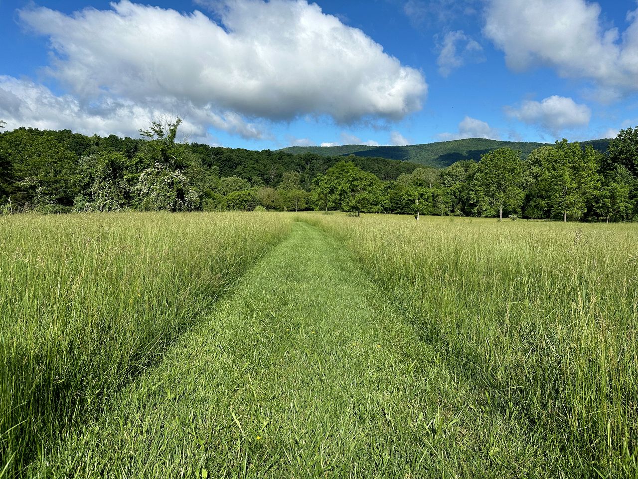 Luxurious Cabin Rental with Stunning Views and a Hot Tub in Shenandoah Valley, Virginia