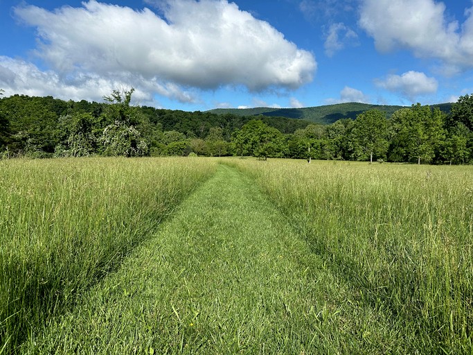 Cabins (United States of America, Rileyville, Virginia)