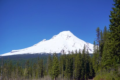 Secluded Forest Cabin in Rhododendron near Mt Hood Village in Oregon photo 2