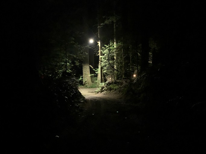 Cabins (United States of America, Rhododendron, Oregon)