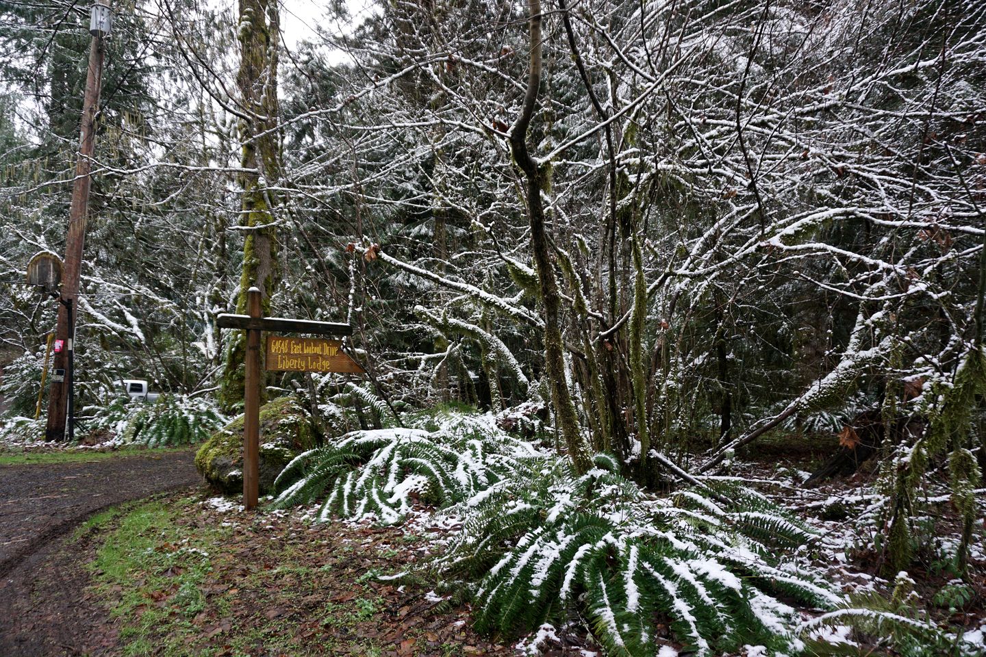 Secluded Forest Cabin in Rhododendron near Mt Hood Village in Oregon