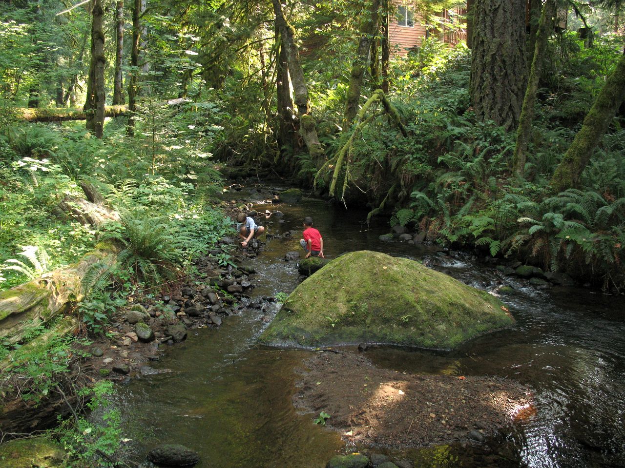 Secluded Forest Cabin in Rhododendron near Mt Hood Village in Oregon