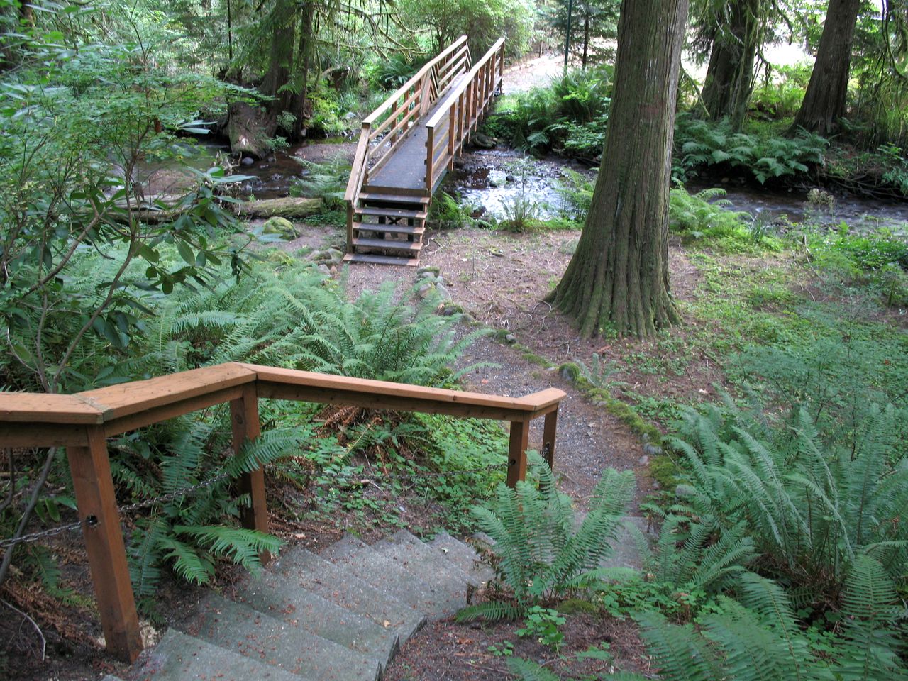 Secluded Forest Cabin in Rhododendron near Mt Hood Village in Oregon