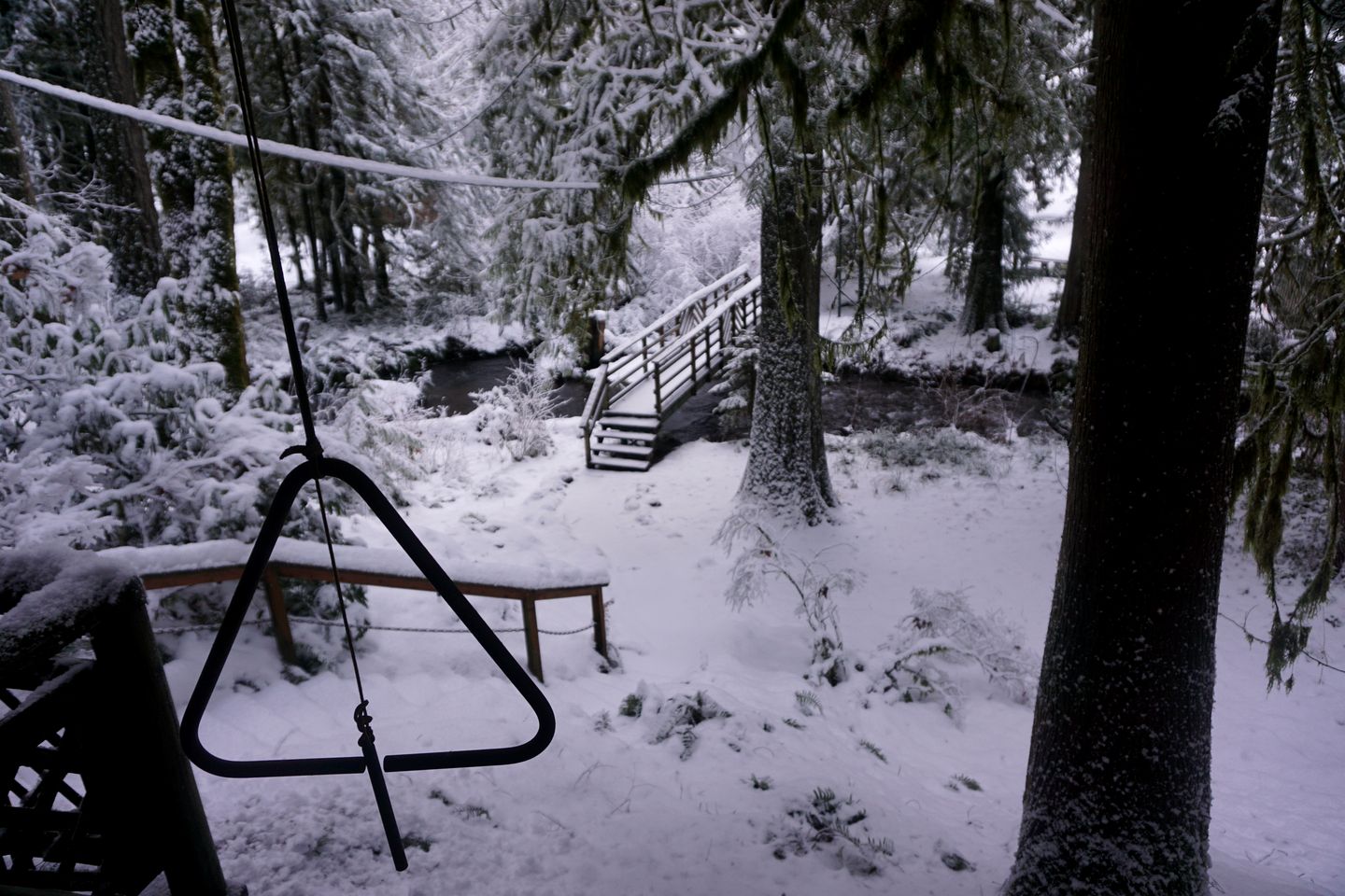 Secluded Forest Cabin in Rhododendron near Mt Hood Village in Oregon