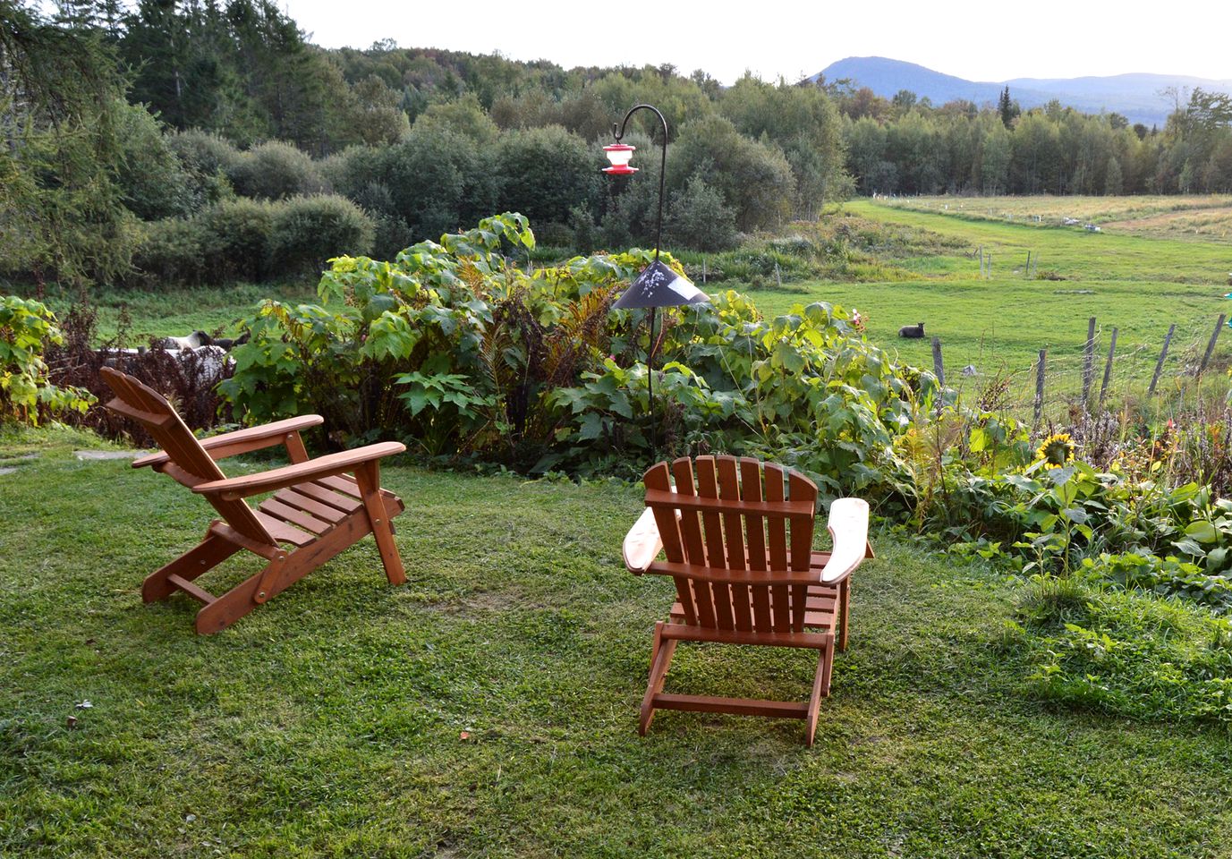 Elegant and Old-Fashioned Cottage Getaway with Mountain Views in Sheffield, Vermont