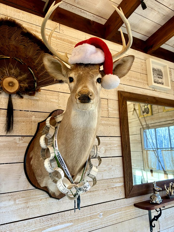 Tree House Glamping near Fall Creek Falls State Park and Chattanooga, Tennessee