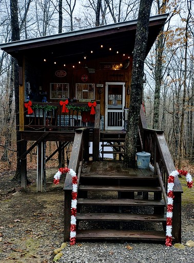 Tree Houses (United States of America, Dunlap, Tennessee)