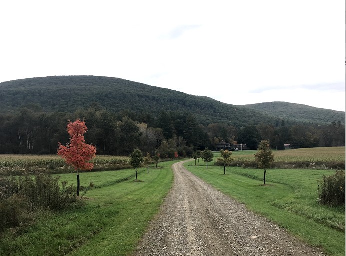 Cabins (United States of America, Gaines, Pennsylvania)