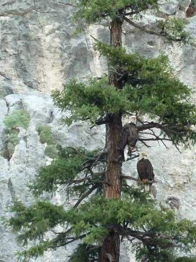 Vacation Rentals (United States of America, Cascade, Montana)