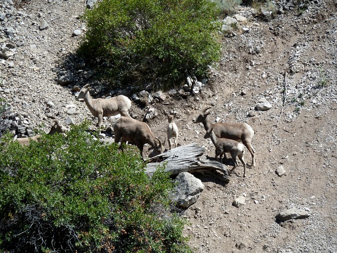 Vacation Rentals (United States of America, Cascade, Montana)