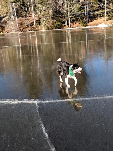 Designer Rentals (Canada, Kingsclear, New Brunswick)