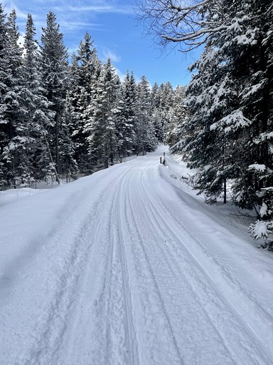 Designer Rentals (Canada, Kingsclear, New Brunswick)