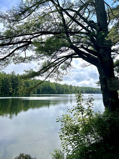 Cabins (United States of America, Newfane, Vermont)