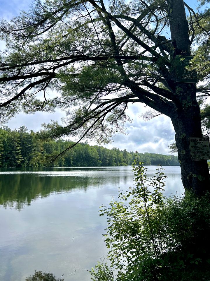 Romantic Cabin Rental with Great Views in Southern Vermont