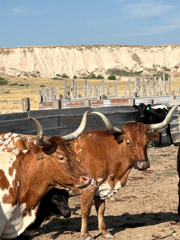 Cozy Cottage Rental for Six on a Working Ranch in Crawford, Nebraska