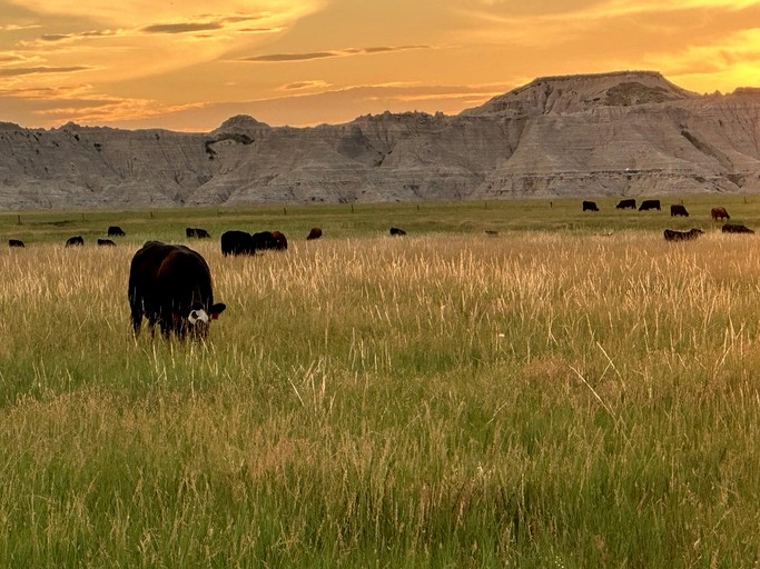 Cottages (United States of America, Crawford, Nebraska)