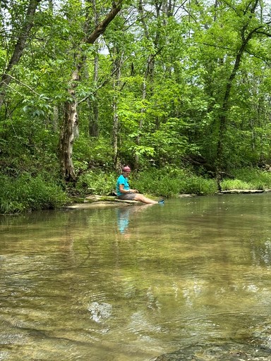 Tree Houses (United States of America, Germantown, Kentucky)