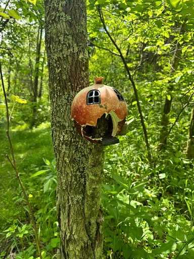 Tree Houses (United States of America, Germantown, Kentucky)