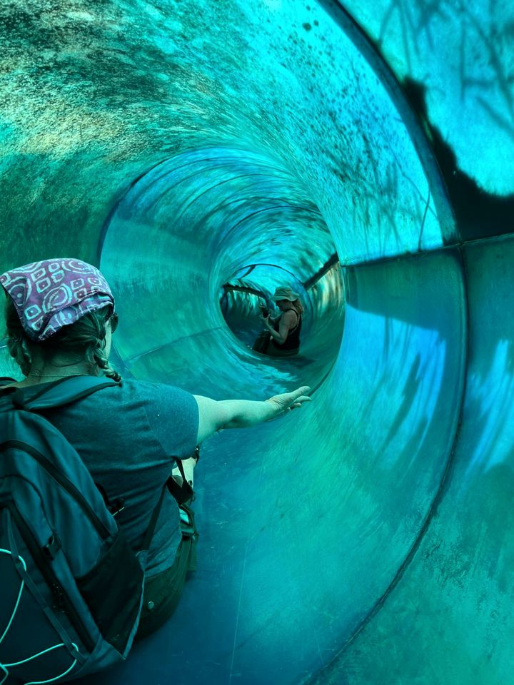 Stunning Tree House Tucked Away Among the Trees near Germantown, Kentucky