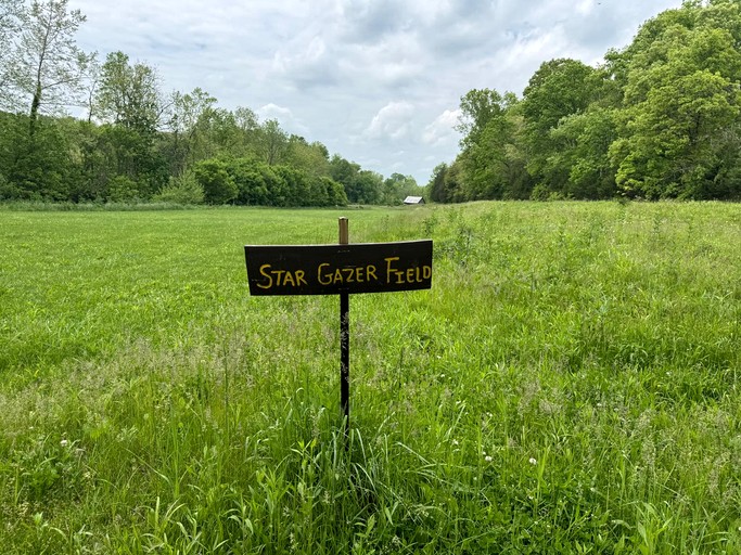 Tree Houses (United States of America, Germantown, Kentucky)