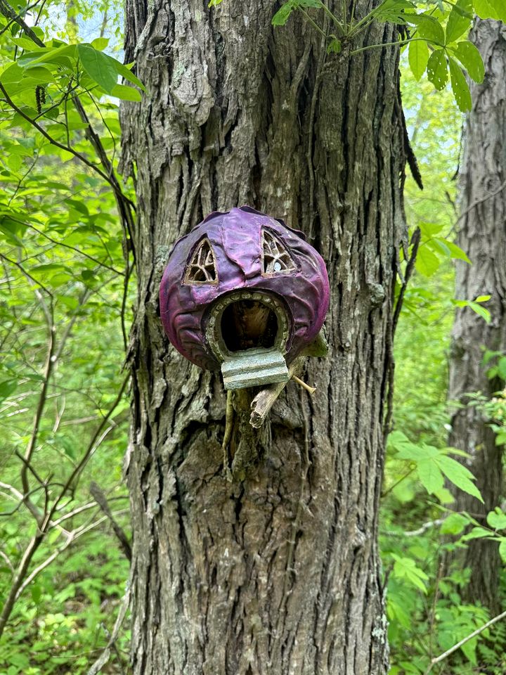 Stunning Tree House Tucked Away Among the Trees near Germantown, Kentucky