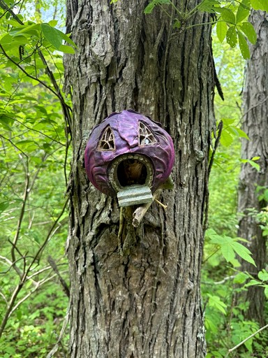 Tree Houses (United States of America, Germantown, Kentucky)