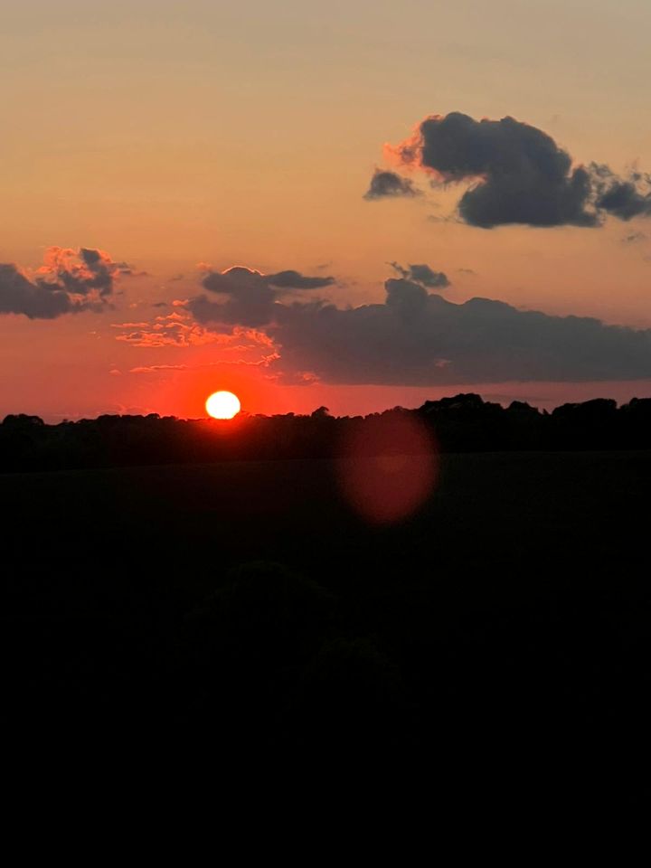 Stunning Tree House Tucked Away Among the Trees near Germantown, Kentucky