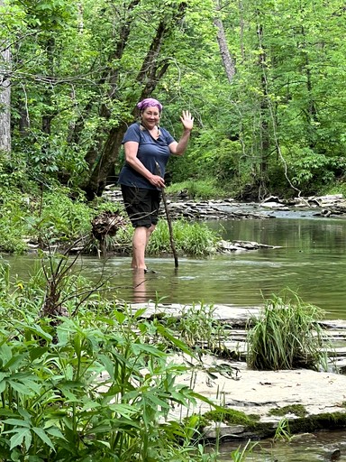 Tree Houses (United States of America, Germantown, Kentucky)