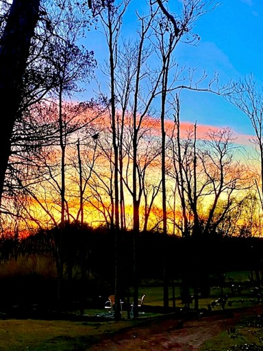 Cottages (United States of America, Fredericksburg, Texas)