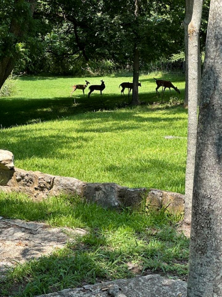 Lovely Creekside Vacation Rental for a Country Honeymoon in Fredericksburg, Texas
