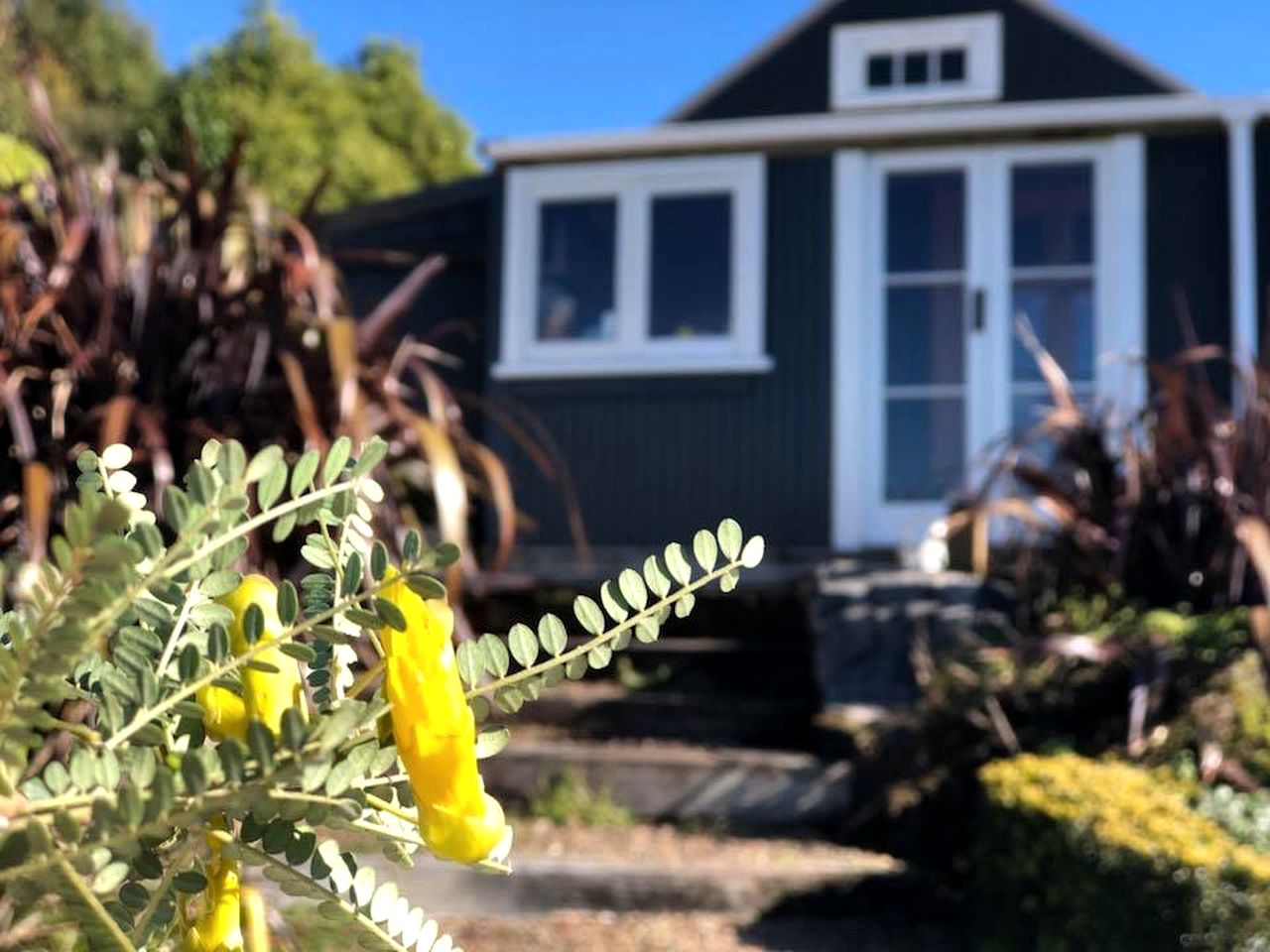 Eco Friendly Cottage for Rent near Waitomo Caves Village, North Island, New Zealand