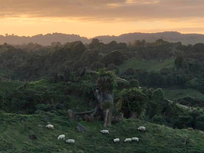 Cottages (Waitomo, New Zealand)