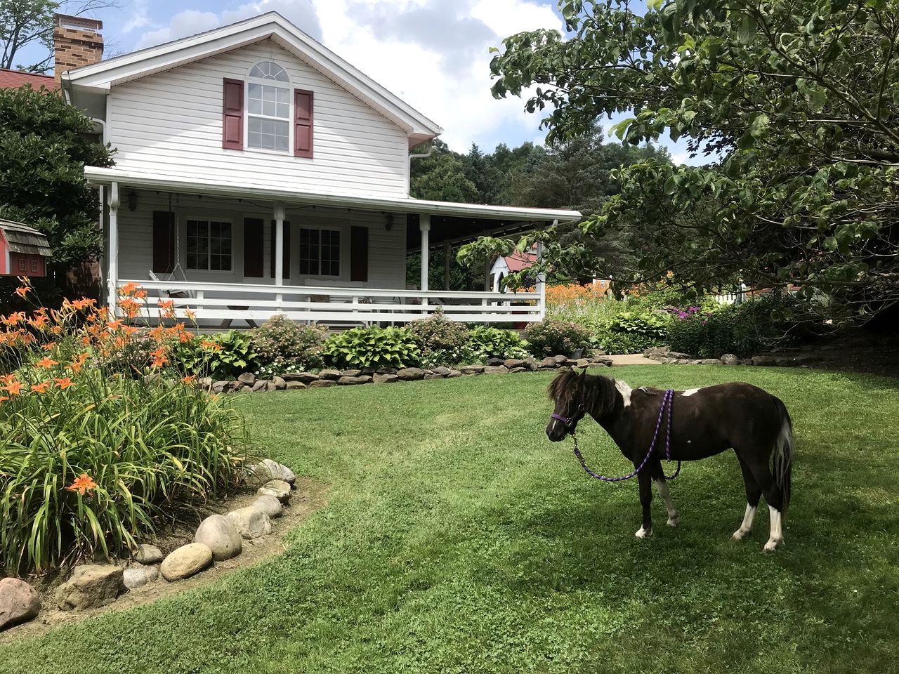 Elegant Farmhouse Cottage Rental with Private Pond near Mohican State Park, Ohio