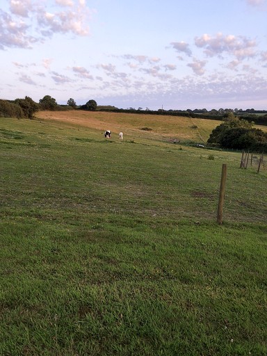 Yurts (United Kingdom, Axminster, England)
