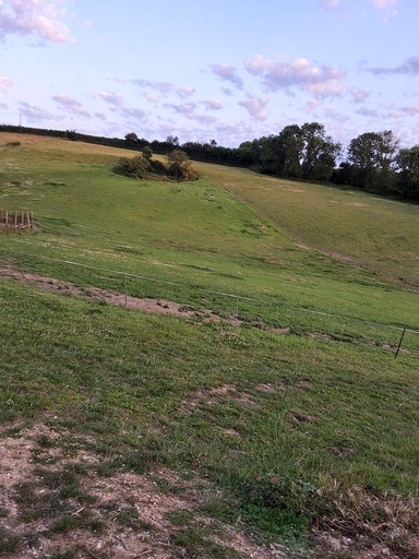 Yurts (United Kingdom, Axminster, England)