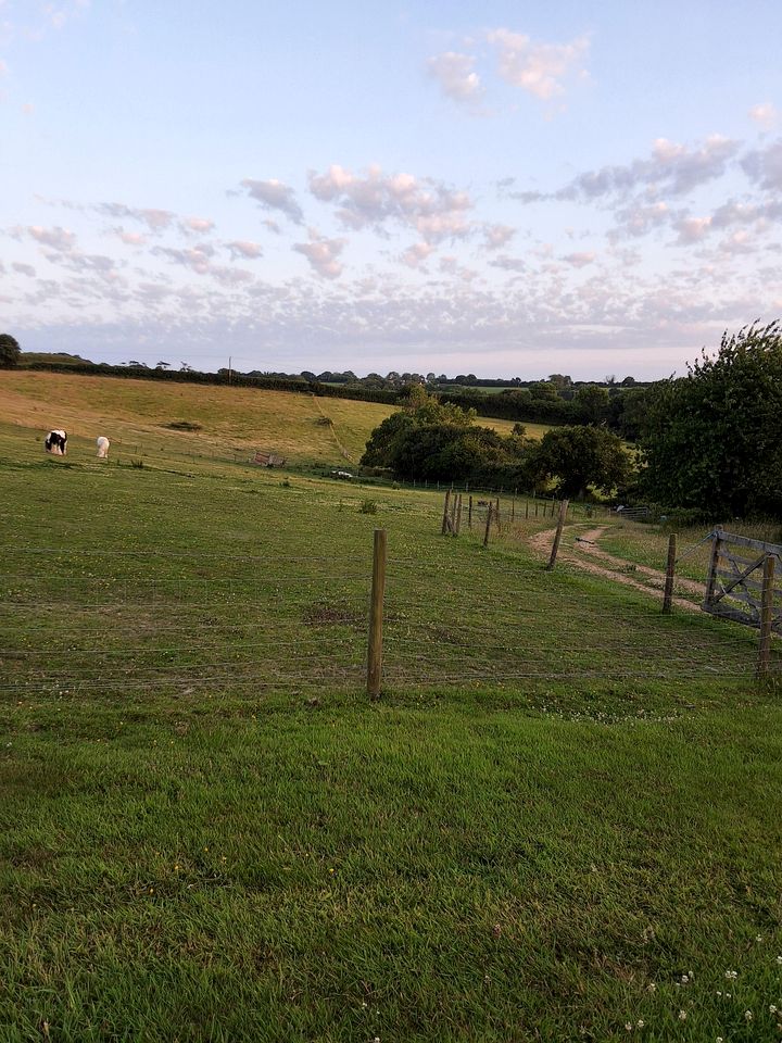 Charming Luxury Yurt with Sky Light for Stargazing off East Devon Coast, England