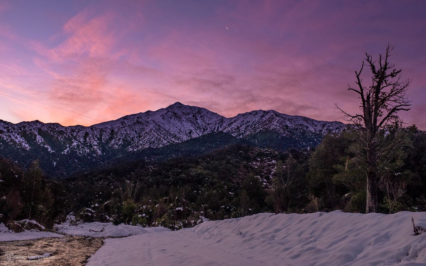 Secluded Cabin Rental Completely Surrounded by Rainforest in Peel Forest, South Island