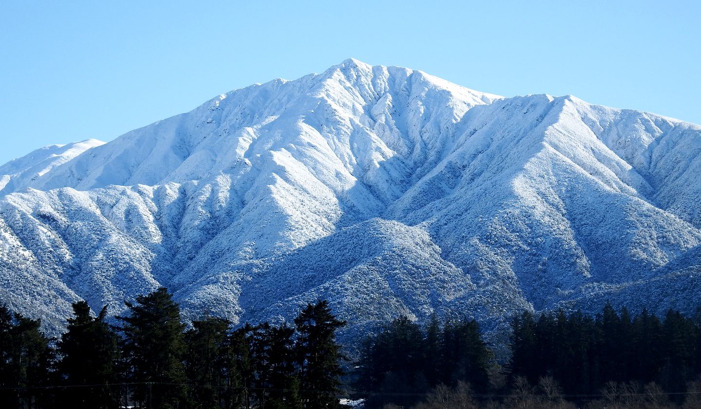Secluded Cabin Rental Completely Surrounded by Rainforest in Peel Forest, South Island