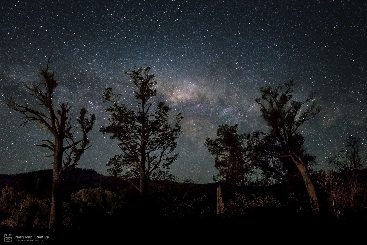 Secluded Cabin Rental Completely Surrounded by Rainforest in Peel Forest, South Island
