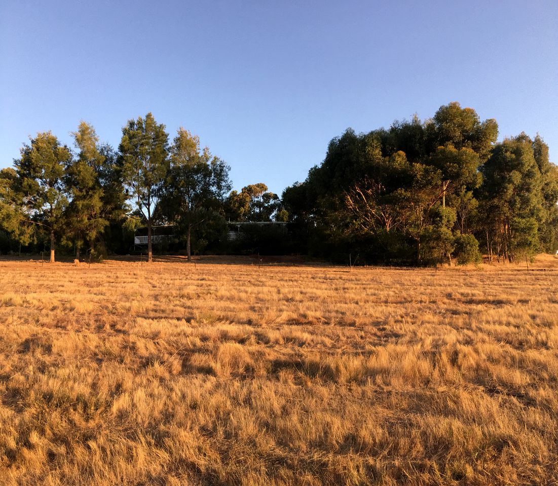 Remote Cottage on a Gorgeous Orchard Farm in Balingup, Western Australia