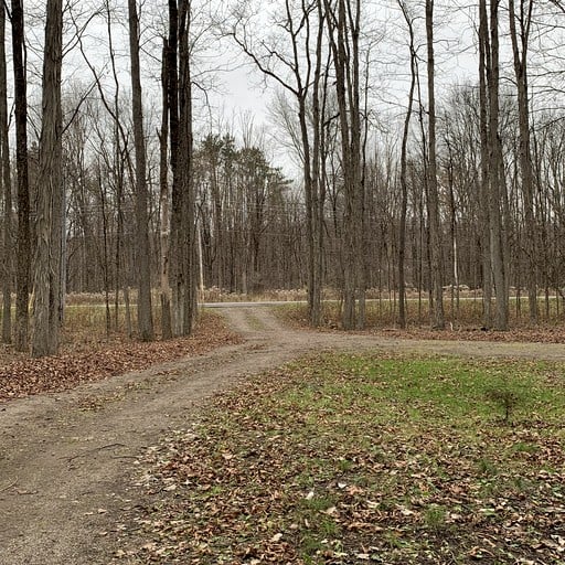 Cabins (United States of America, Altmar, New York)